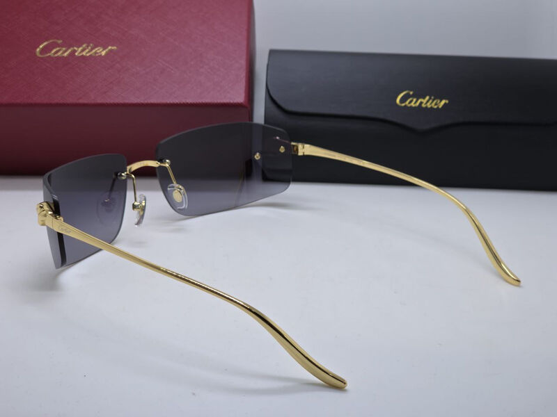 Очки Cartier 179721-5