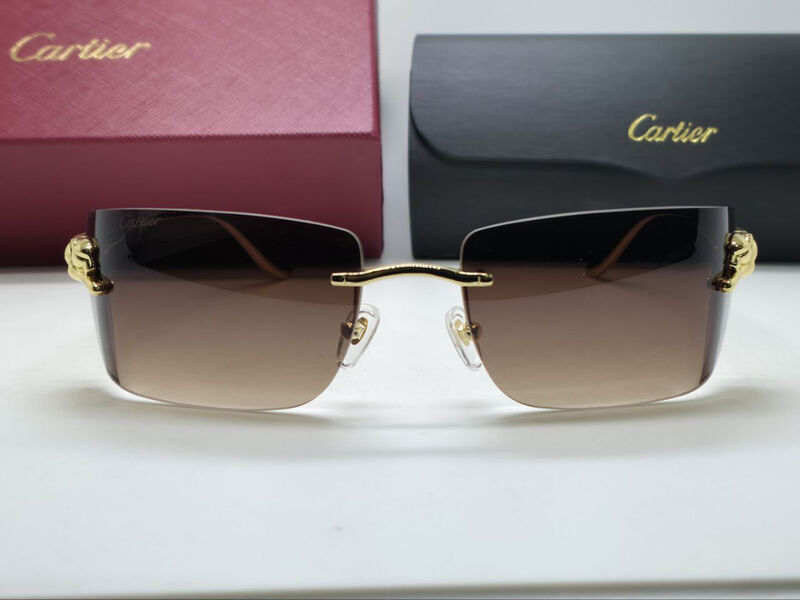 Очки Cartier 179724-3