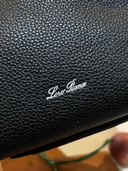 Сумка Loro Piana женский кожа черный u3014339-1-3