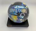 Мяч Spalding 55202-1