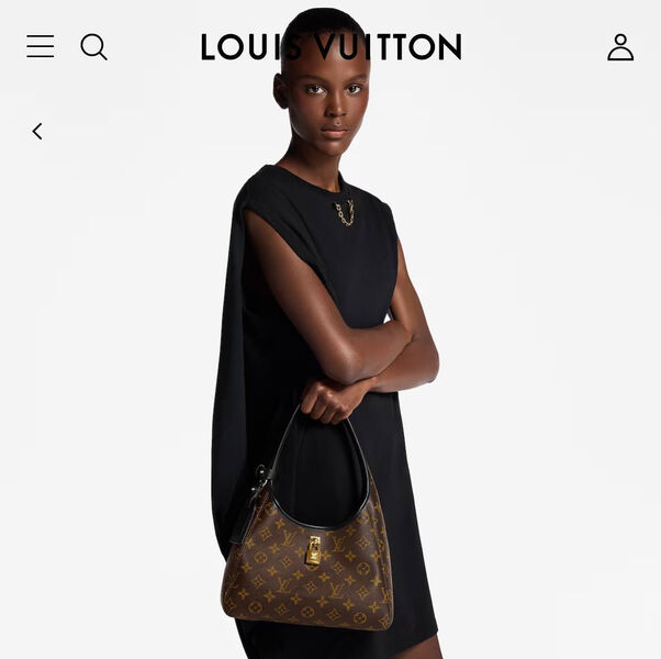 Сумка Louis Vuitton женский канва 199959-3