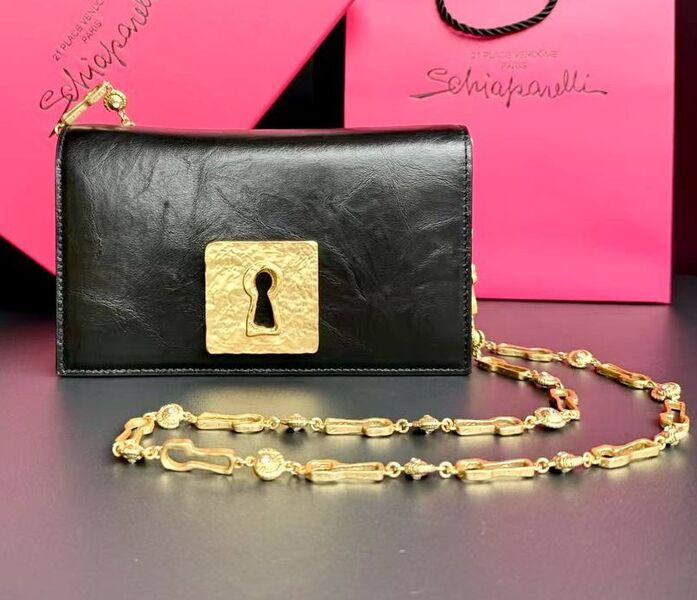 Сумка Schiaparelli женский кожа черный 180859