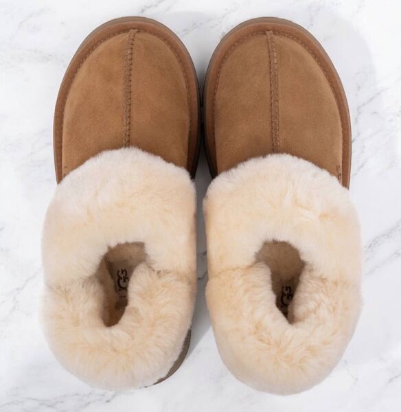 Угги Ugg Slippers Disquette женский замша 163212
