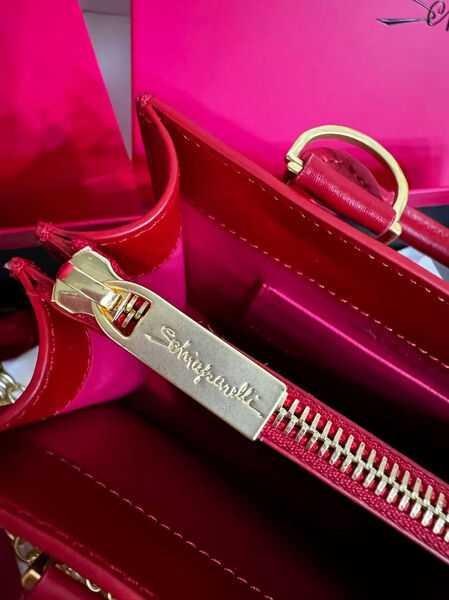 Сумка Schiaparelli женский кожа бордовый 174275-2