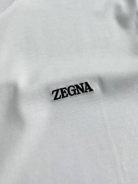 Мужская футболка Zegna мужской белый 181028-5
