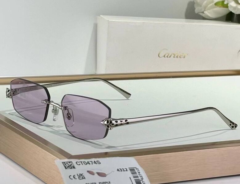 Очки Catier 179765