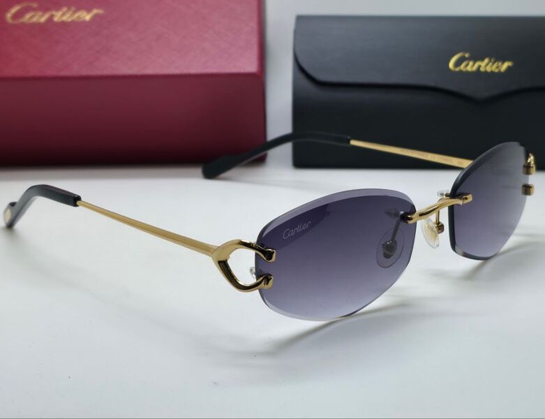 Очки Cartier 179725