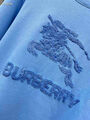 Мужской свитшот Burberry мужской бирюзовый 161678-6