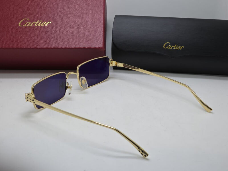 Очки Cartier 179716-5