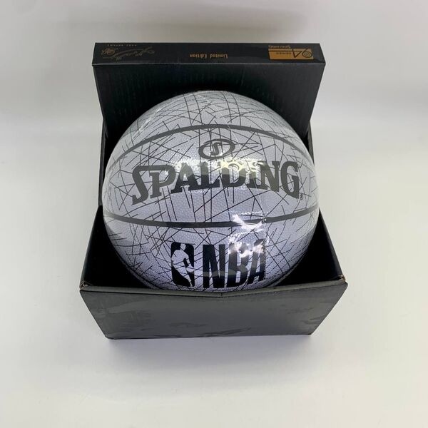 Мяч Spalding 55203-2