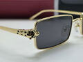 Очки Cartier 179716-3