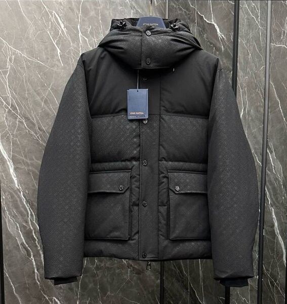 Мужской пуховик Louis Vuitton 163255