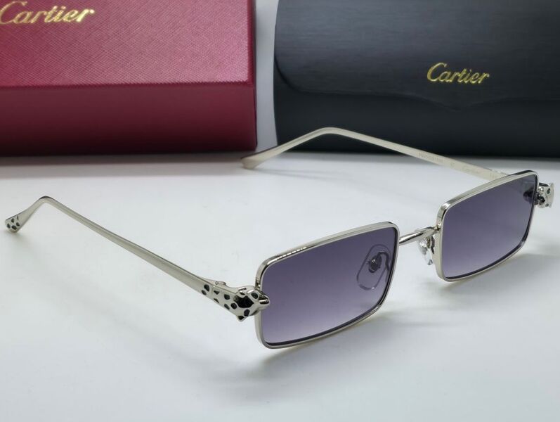 Очки Cartier 179718