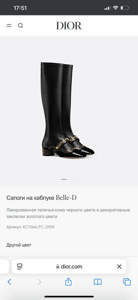 Сапоги Christian Dior женский кожа черный 166793-5