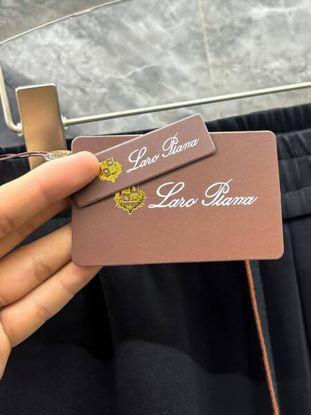 Мужские брюки Loro Piana мужской черный 179819-8