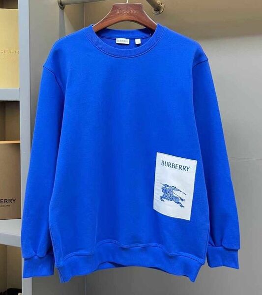 Мужской свитшот Burberry 172822