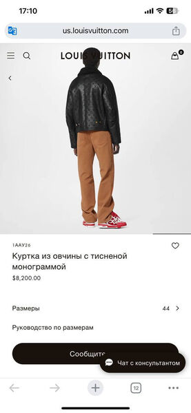 Мужская дубленка Louis Vuitton мужской черный 135233-3