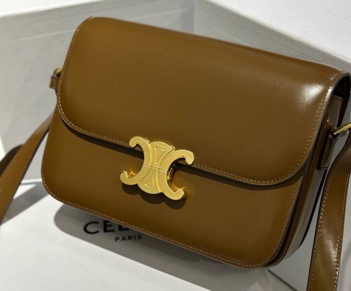 Сумка Celine Triomphe женский кожа swift мятный 125246