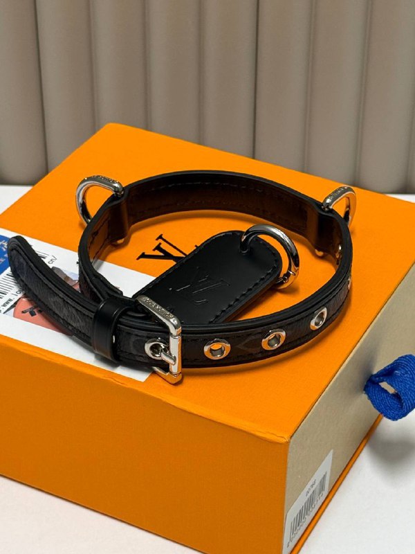 Ошейник для собак и кошек LOUIS VUITTON c поводком