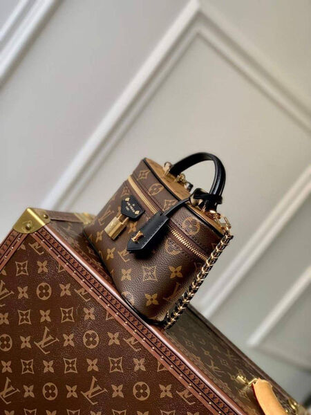 Сумка Louis Vuitton женский кожа 149303-2