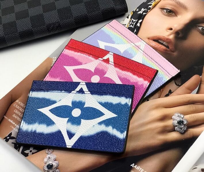 Визитница Louis Vuitton женский разноцветный 15989