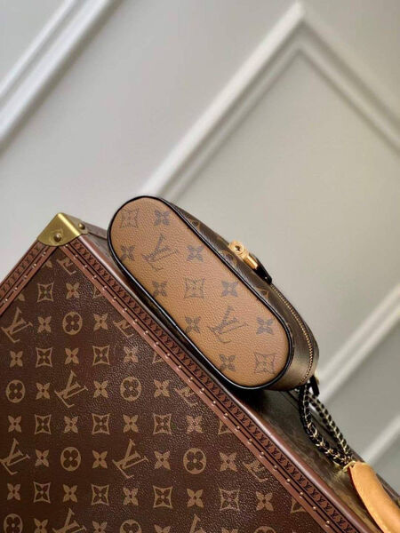 Сумка Louis Vuitton женский кожа 149303-4