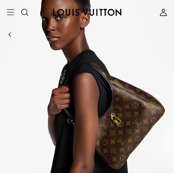 Сумка Louis Vuitton женский канва 199959-2