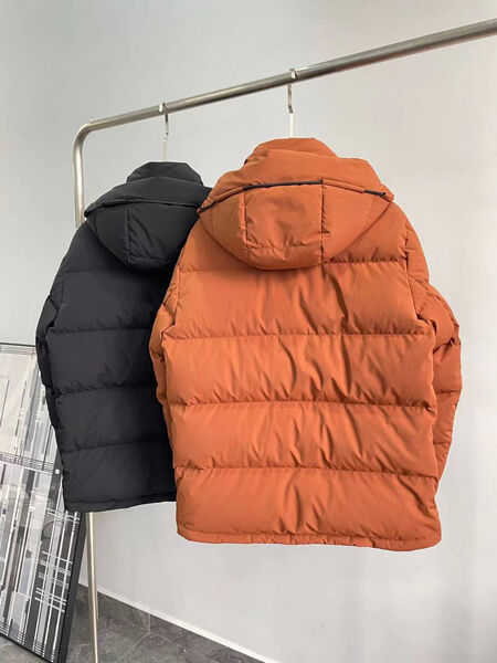 Мужской пуховик Zegna мужской 169609-3