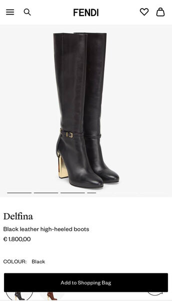 Сапоги Fendi женский кожа черный 134327-2