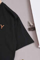 Мужская футболка Burberry мужской черный 172494-3