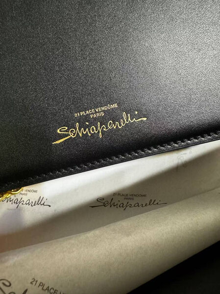 Сумка Schiaparelli женский кожа черный 174273-5