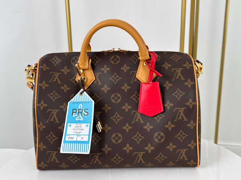 Сумка Louis Vuitton Speedy 30 женский канва 174992-4