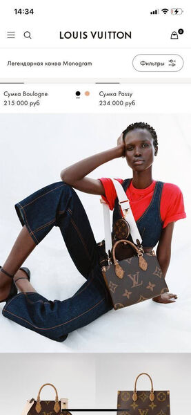 Сумка Louis Vuitton женский кожа 106554-6