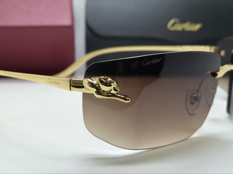 Очки Cartier 179724-2