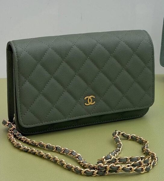 Сумка Chanel Mini женский кожа болотный 187545