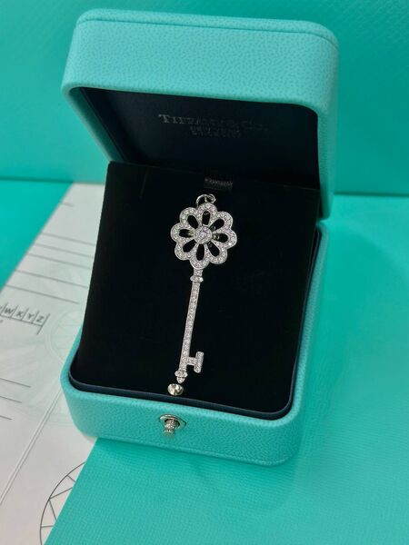 Кулон «ключ» (с цепочкой) Tiffany & Co. женский серебро 925 l2143602-1