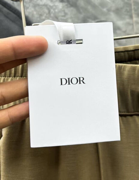 Мужские брюки Christian Dior мужской болотный 178923-5