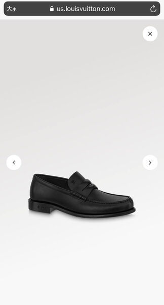 Мужские лоферы Louis Vuitton мужской кожа черный 171306-6