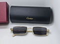 Очки Cartier 179716-2