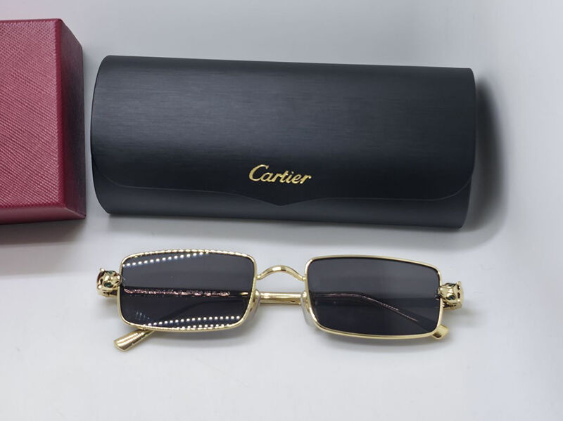 Очки Cartier 179716-2