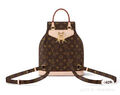 Рюкзак Louis Vuitton женский канва 154339-5