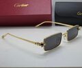 Очки Cartier 179716