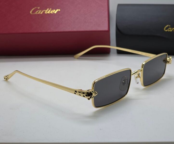 Очки Cartier 179716
