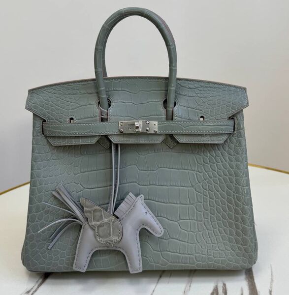Сумка Hermès Birkin 25 женский кожа графитовый 162978