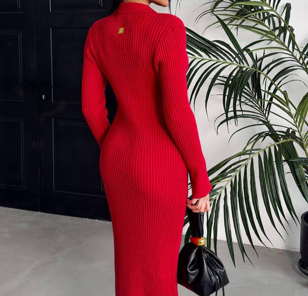 Платье Schiaparelli женский бордовый 202228-2