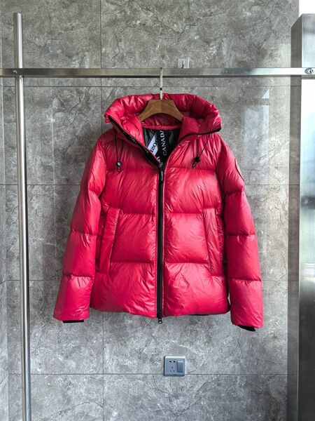 Canada Goose мужской бордовый 2025170