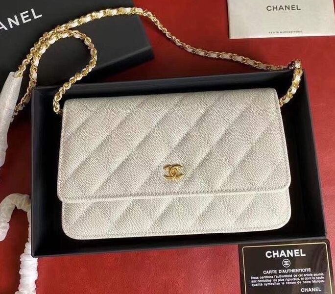 Сумка Chanel Mini женский кожа белый 118808