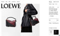 Сумка Loewe женский кожа бордовый 201373-2