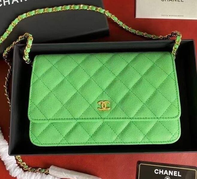 Сумка Chanel Mini женский кожа болотный 118809
