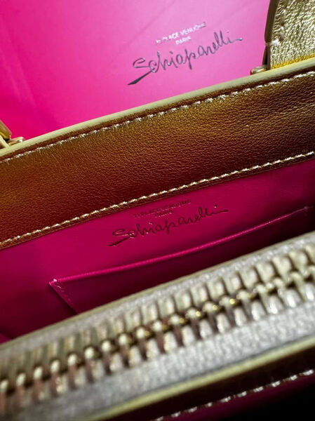 Сумка Schiaparelli женский кожа бронзовый 174278-7